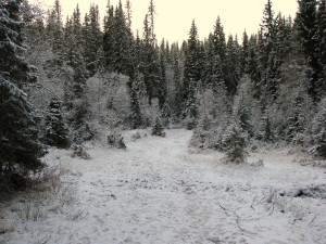 Norsk landskap